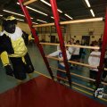 IMG_1308382