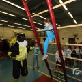IMG_1308388