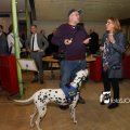IMG_1311957