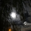 IMG_1311082