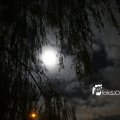 IMG_1311083