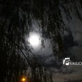 IMG_1311084