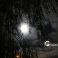 IMG_1311085