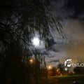 IMG_1311086