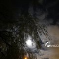 IMG_1311088