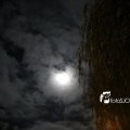 IMG_1311089