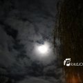 IMG_1311090
