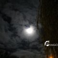 IMG_1311091
