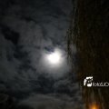 IMG_1311092