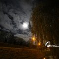 IMG_1311095