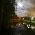 IMG_1311103