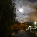 IMG_1311105