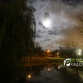 IMG_1311106