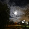 IMG_1311108