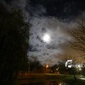 IMG_1311109