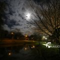 IMG_1311112