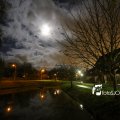 IMG_1311115