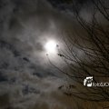 IMG_1311119