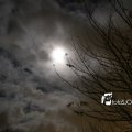 IMG_1311120