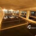 IMG_1312145