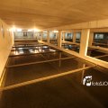 IMG_1312146
