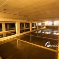IMG_1312149