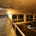 IMG_1312150
