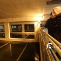 IMG_1312157