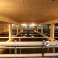 IMG_1312162