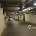 IMG_1312193