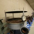 IMG_1312258
