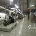 IMG_1312294