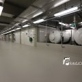 IMG_1312343