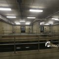 IMG_1312348