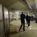IMG_1312353