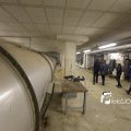 IMG_1312356