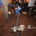 IMG_1312610