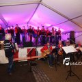 IMG_1312719