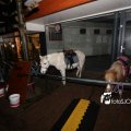IMG_1312785