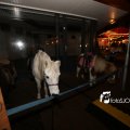 IMG_1312787