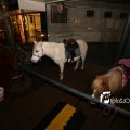 IMG_1312791