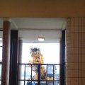 20151103_105206