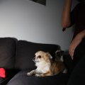 IMG_1313486