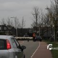 IMG_1313602