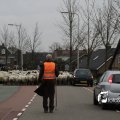 IMG_1313606