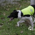 IMG_1313656