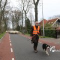IMG_1313712