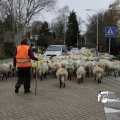 IMG_1313759