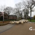IMG_1313866