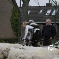 IMG_1313919
